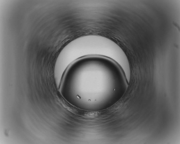 X0000102800084200809021146