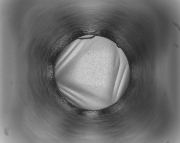 X0000102800085200809021146