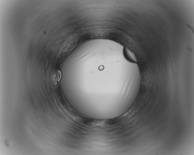 X0000102800086200809021146