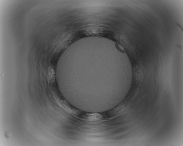 X0000102800087200809021146