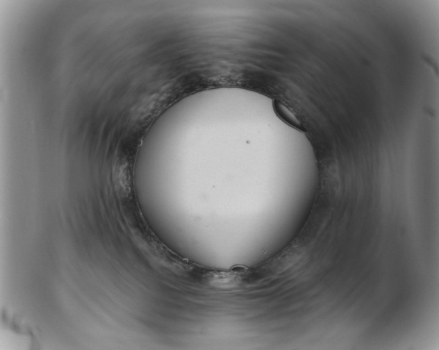 X0000102800088200809021146