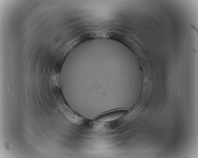 X0000102800096200809021146