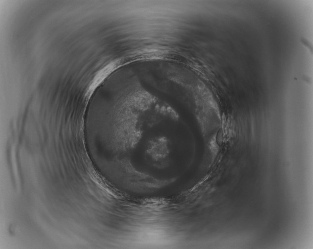 X0000102800099200809021145