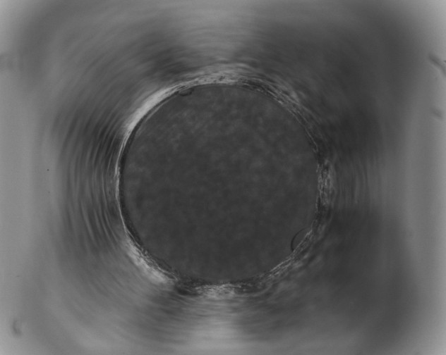 X0000102800100200809021145