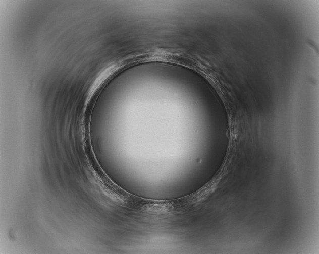 X0000102800102200809021145