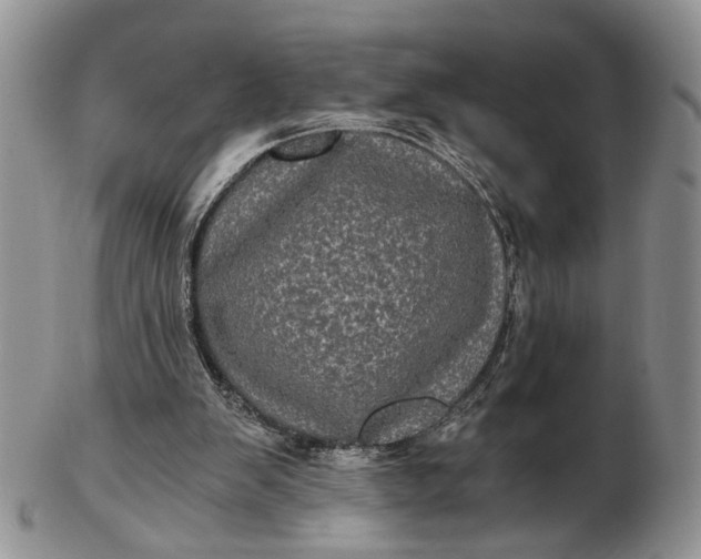 X0000102800103200809021145