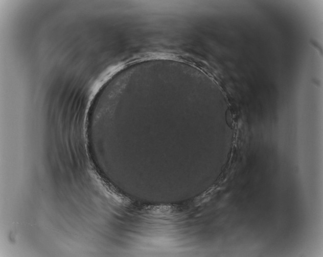 X0000102800104200809021145