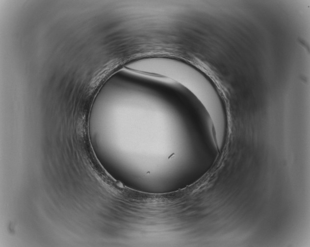 X0000102800105200809021145