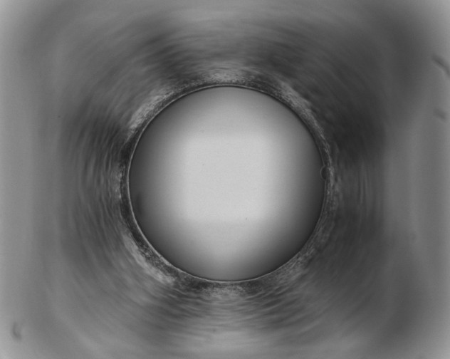 X0000102800106200809021145