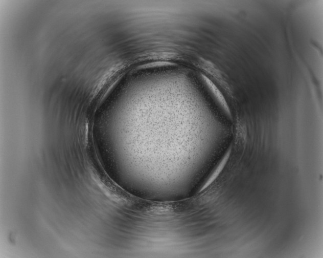 X0000102800110200809021145