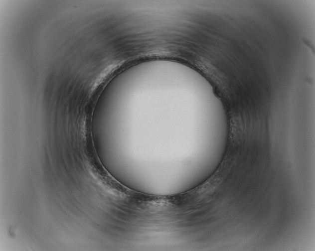 X0000102800112200809021145