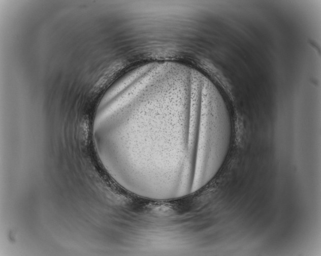 X0000102800113200809021145