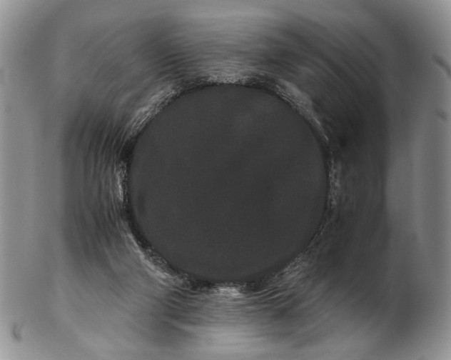 X0000102800114200809021145