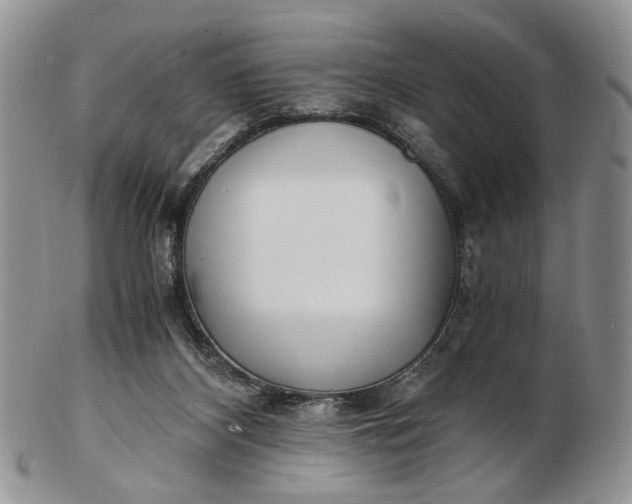 X0000102800116200809021145