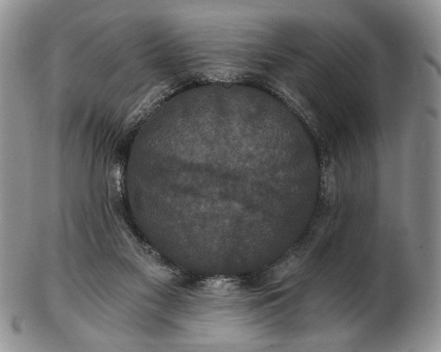 X0000102800117200809021145