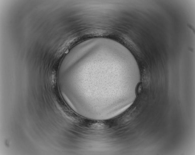 X0000102800119200809021145