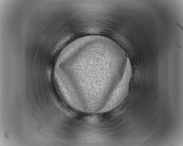 X0000102800120200809021145