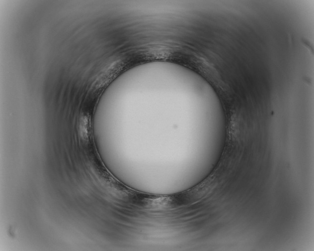 X0000102800122200809021145