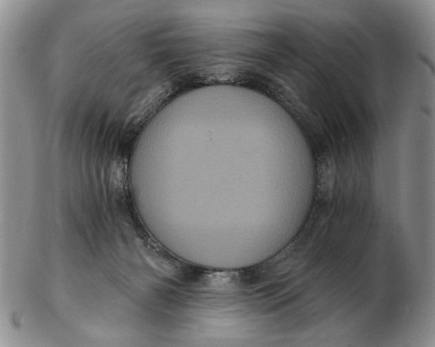 X0000102800126200809021145