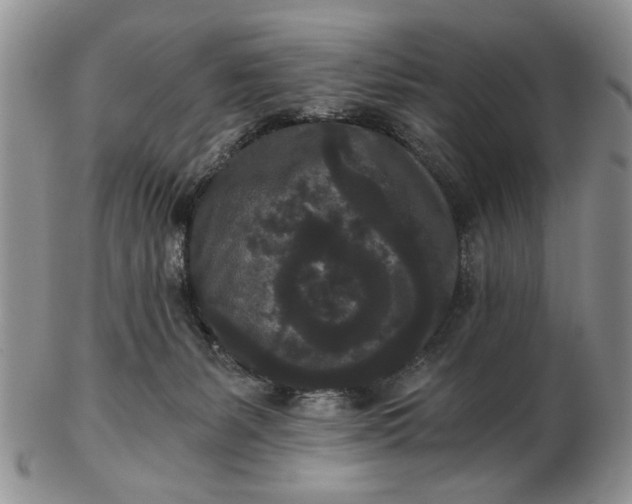 X0000102800127200809021145