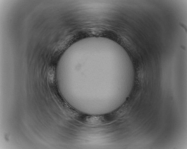 X0000102800129200809021145