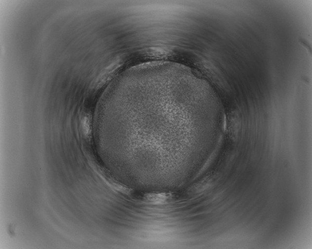 X0000102800131200809021145