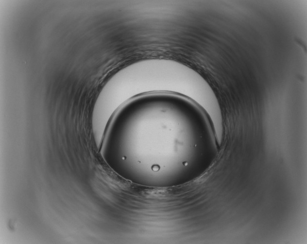 X0000102800132200809021145