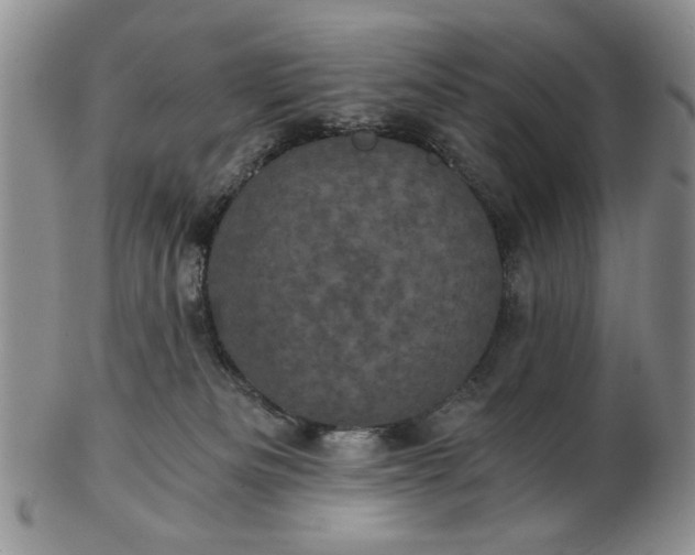 X0000102800133200809021145