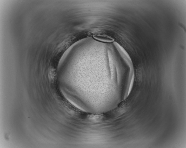 X0000102800135200809021145