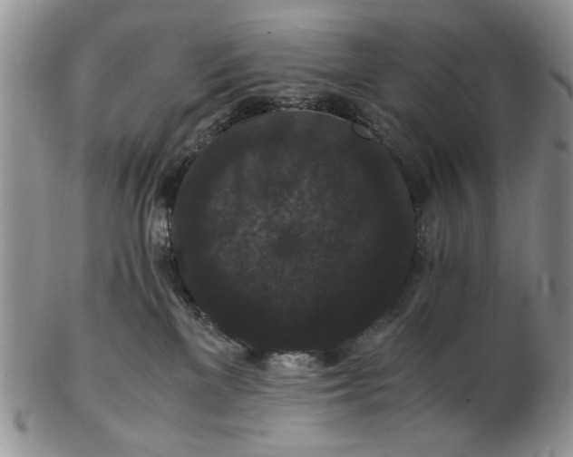 X0000102800137200809021145