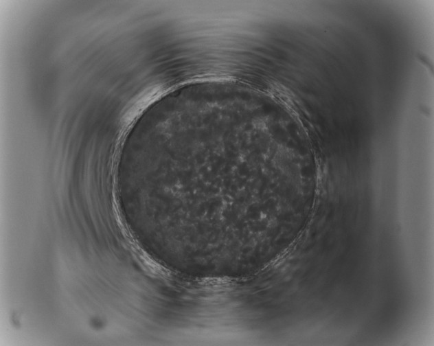 X0000102800145200809021144