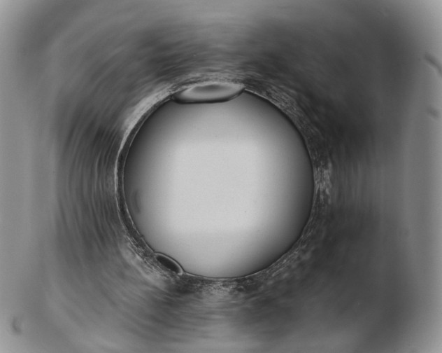 X0000102800148200809021144