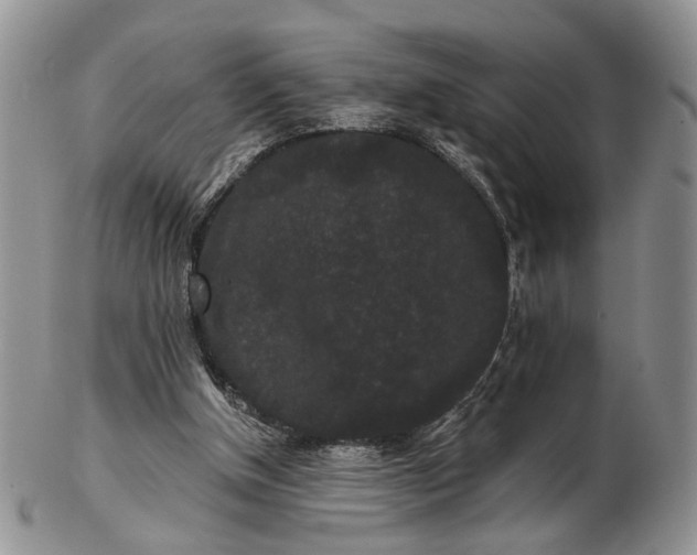 X0000102800154200809021144