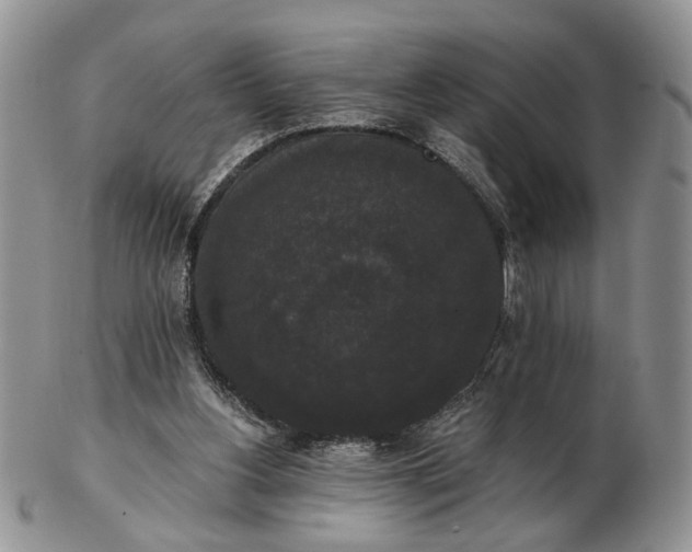 X0000102800156200809021144