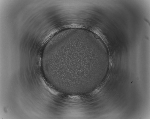 X0000102800157200809021144