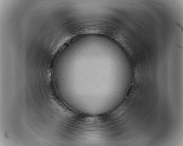 X0000102800160200809021144