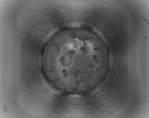 X0000102800161200809021144