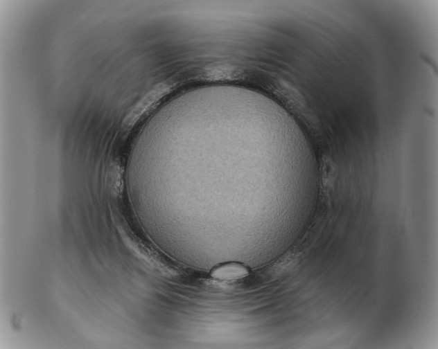 X0000102800164200809021144