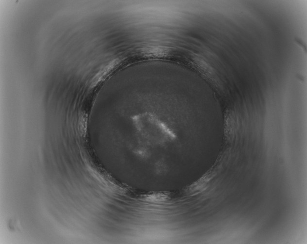 X0000102800168200809021144