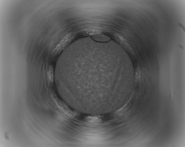 X0000102800170200809021144