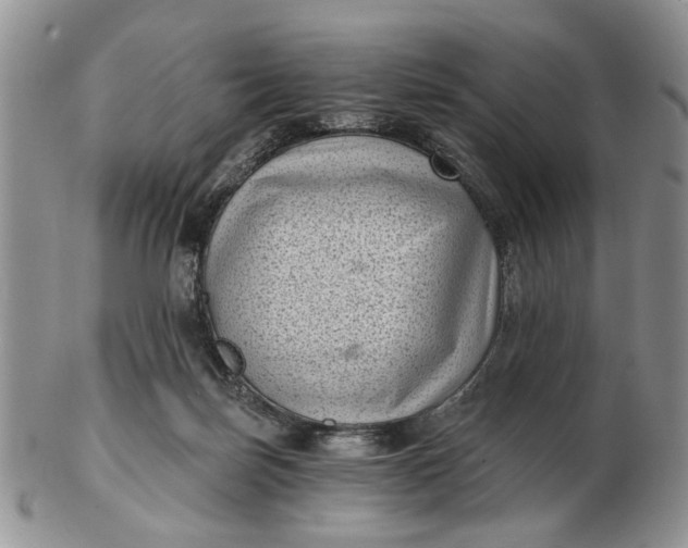 X0000102800171200809021144