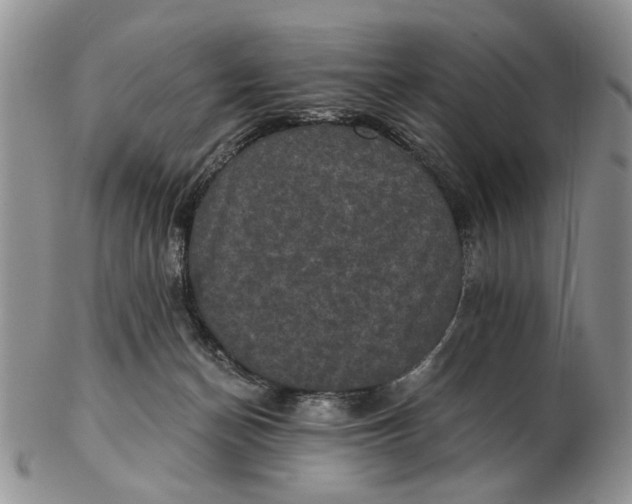 X0000102800174200809021144