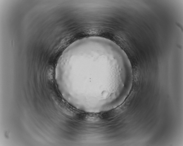 X0000102800175200809021144