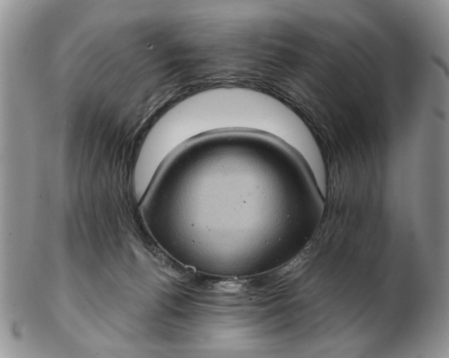 X0000102800176200809021144