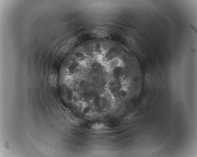 X0000102800177200809021144