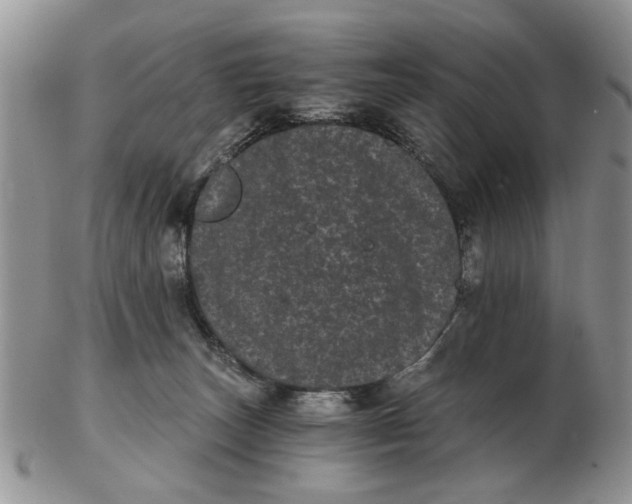 X0000102800179200809021144