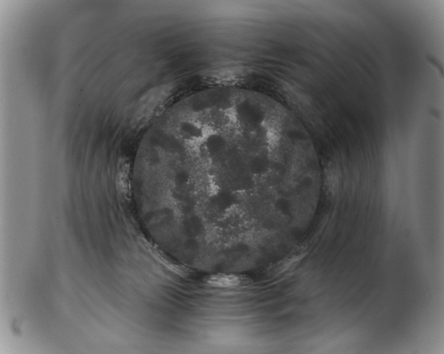 X0000102800181200809021144