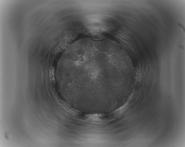 X0000102800182200809021144