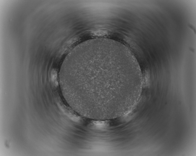 X0000102800187200809021144