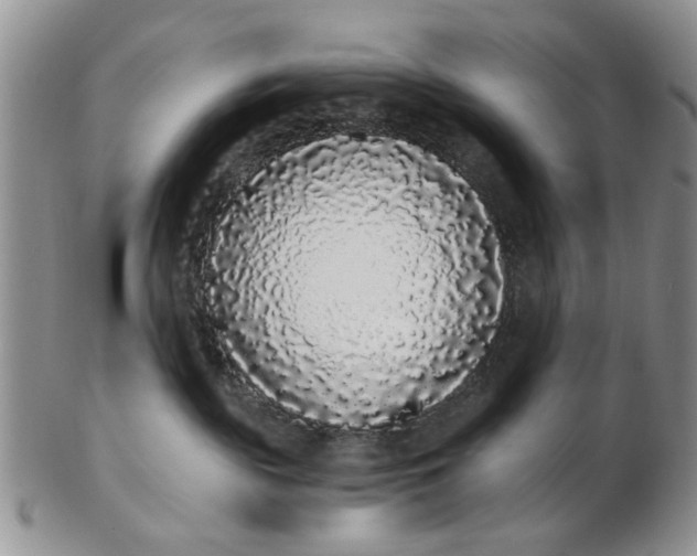 X0000102800189200809021144